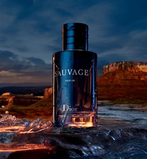 dior sauvage men eau de parfum|dior sauvage the perfume shop.